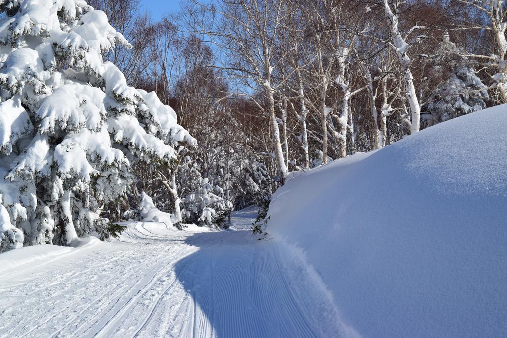 Villa Ichinose Yamanouchi  Esterno foto
